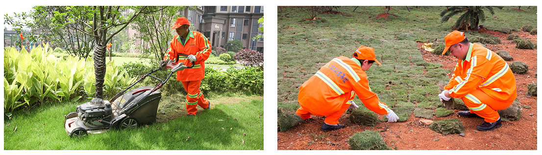 未标题-1.jpg 未标题-1.jpg